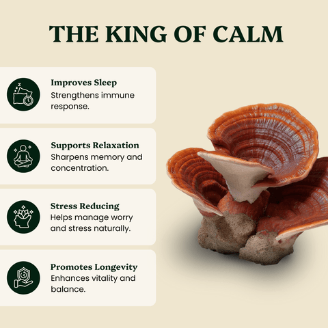 Reishi Mushroom Extract Powder - Mushroom Extract - Ancient Extracts