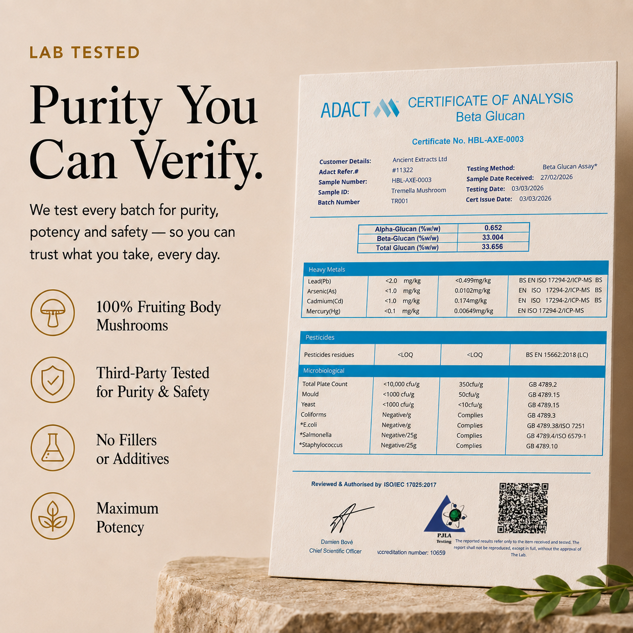 A tremella certificate of analysis for Beta Glucan from the brand ADACT, displayed on a light beige textured surface next to a white and blue paper document. The image includes marketing text overlays on the left side detailing product benefits like 'Purity You Can Verify' and '100% Fruiting Body Mushrooms'.