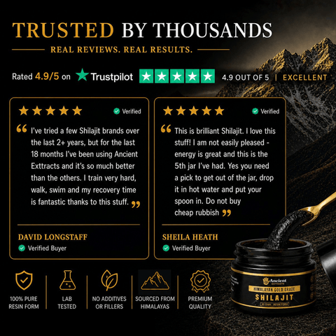 Shilajit Resin - Himalayan Gold Grade - Nutrition support - Ancient Extracts