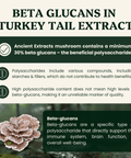 Turkey Tail For Pets - Veterinarian formulated for Dogs and Cats - Mushroom Extract - Ancient Extracts