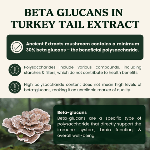 Turkey Tail For Pets - Veterinarian formulated for Dogs and Cats - Mushroom Extract - Ancient Extracts