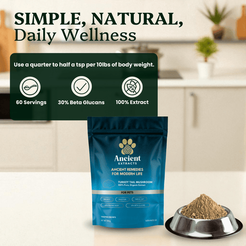 Turkey Tail For Pets - Veterinarian formulated for Dogs and Cats - Mushroom Extract - Ancient Extracts