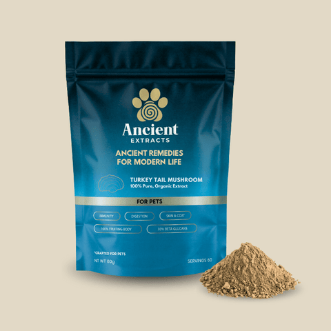 Turkey Tail For Pets - Veterinarian formulated for Dogs and Cats - Mushroom Extract - Ancient Extracts