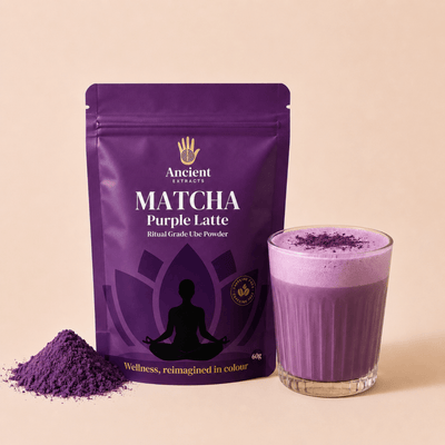 Ritual Grade Ube Matcha Powder - Ancient Extracts