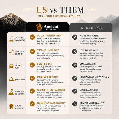 Shilajit Resin - Himalayan Gold Grade - Nutrition support - Ancient Extracts