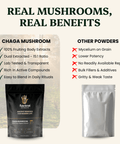 Chaga Mushroom Extract Powder - 30% Beta - glucan (60g) - Mushroom Extract - Ancient Extracts