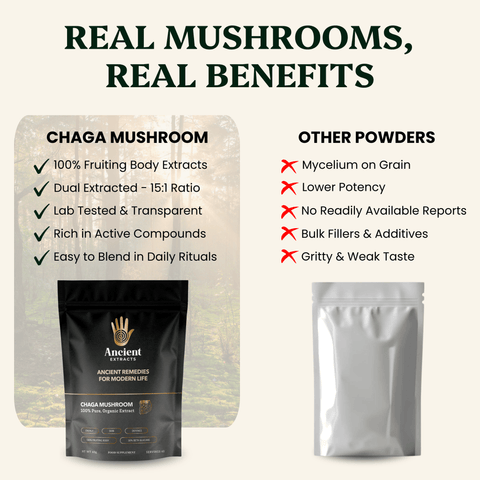 Chaga Mushroom Extract Powder - 30% Beta - glucan (60g) - Mushroom Extract - Ancient Extracts