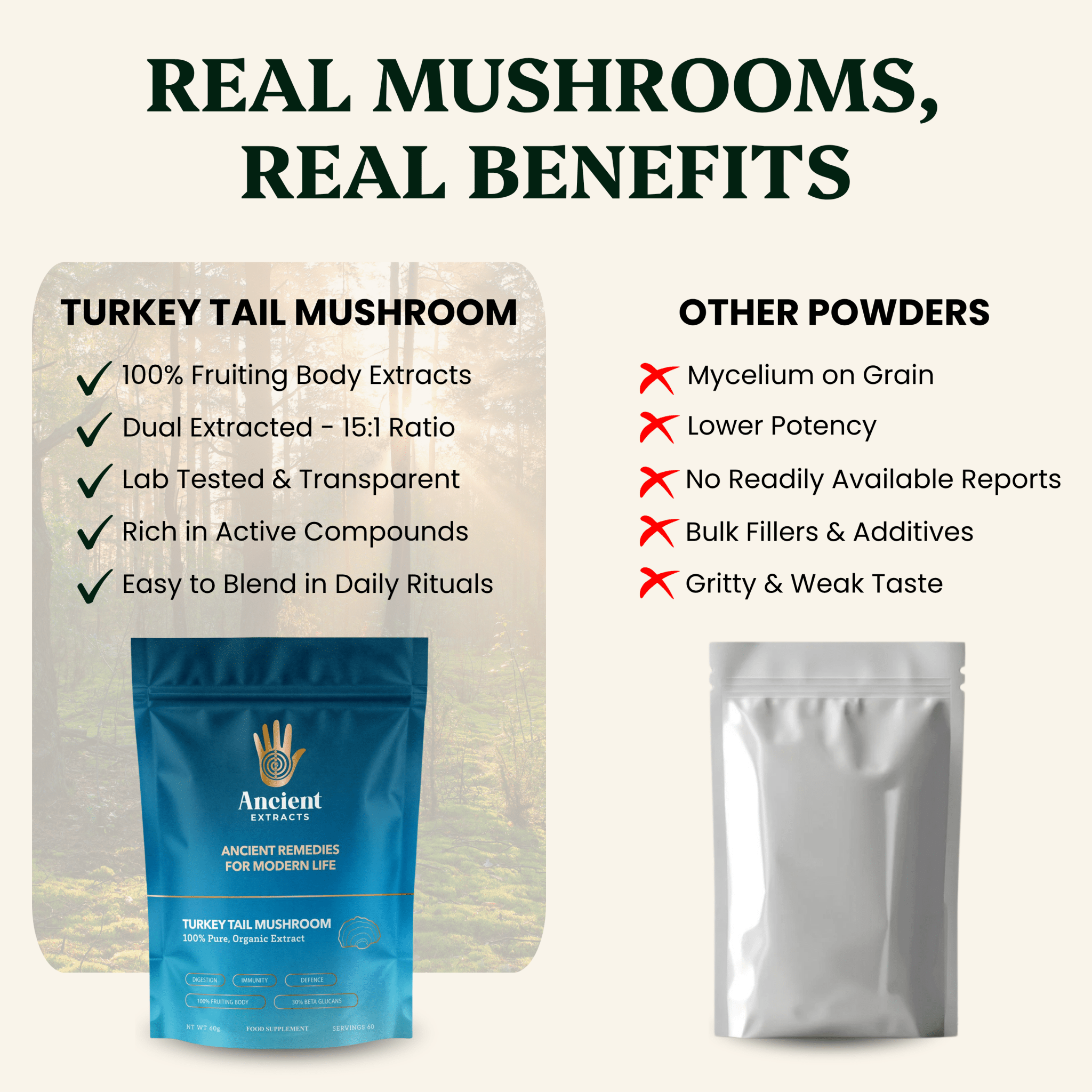 Turkey Tail Mushroom Extract Powder - 30% Beta - glucan (60g) - Mushroom Extract - Ancient Extracts