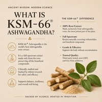 Ashwaghanda KSM66 Capsules