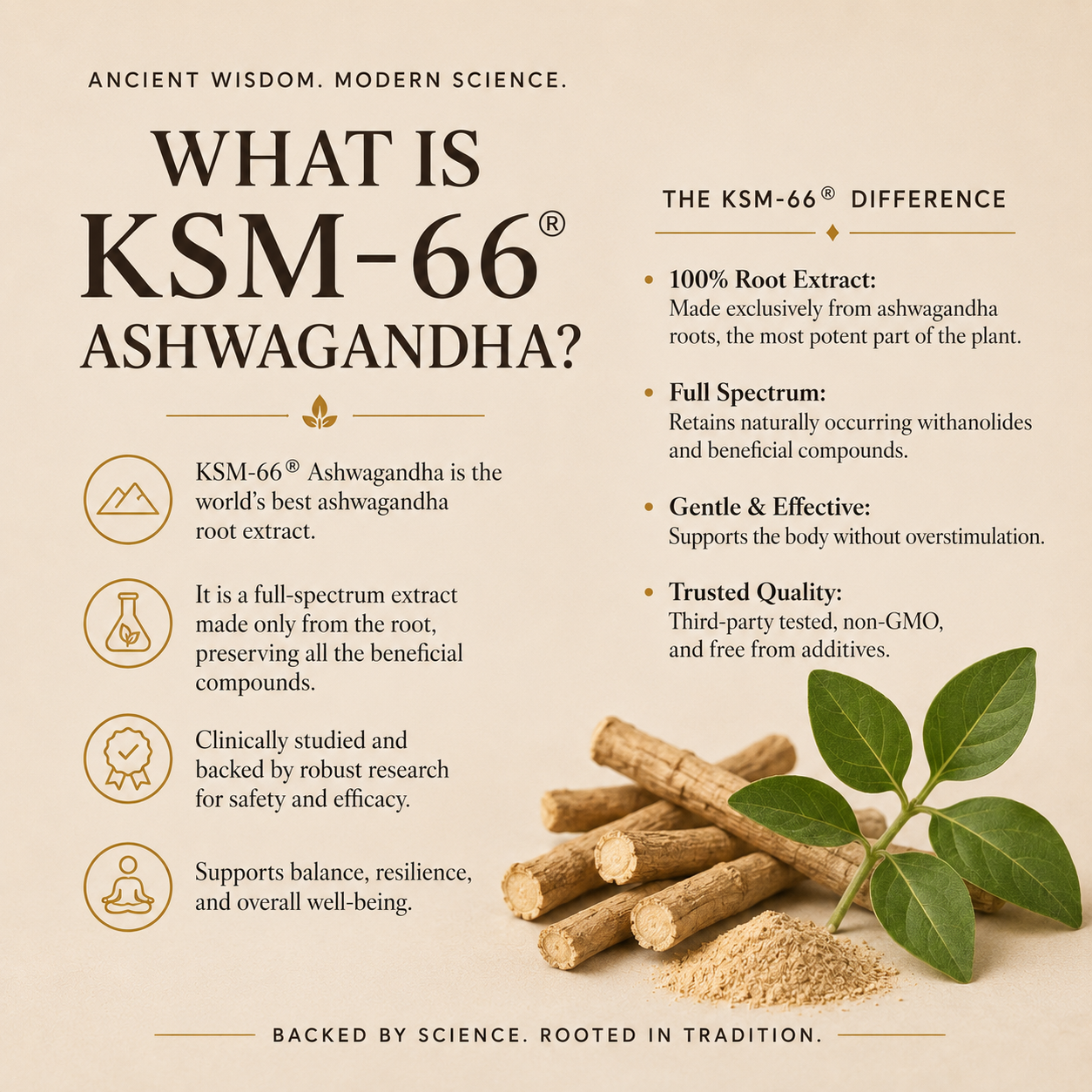 Ashwaghanda KSM66 Capsules