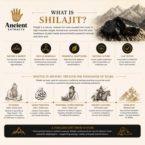 Shilajit Resin - Himalayan Gold Grade - Nutrition support - Ancient Extracts