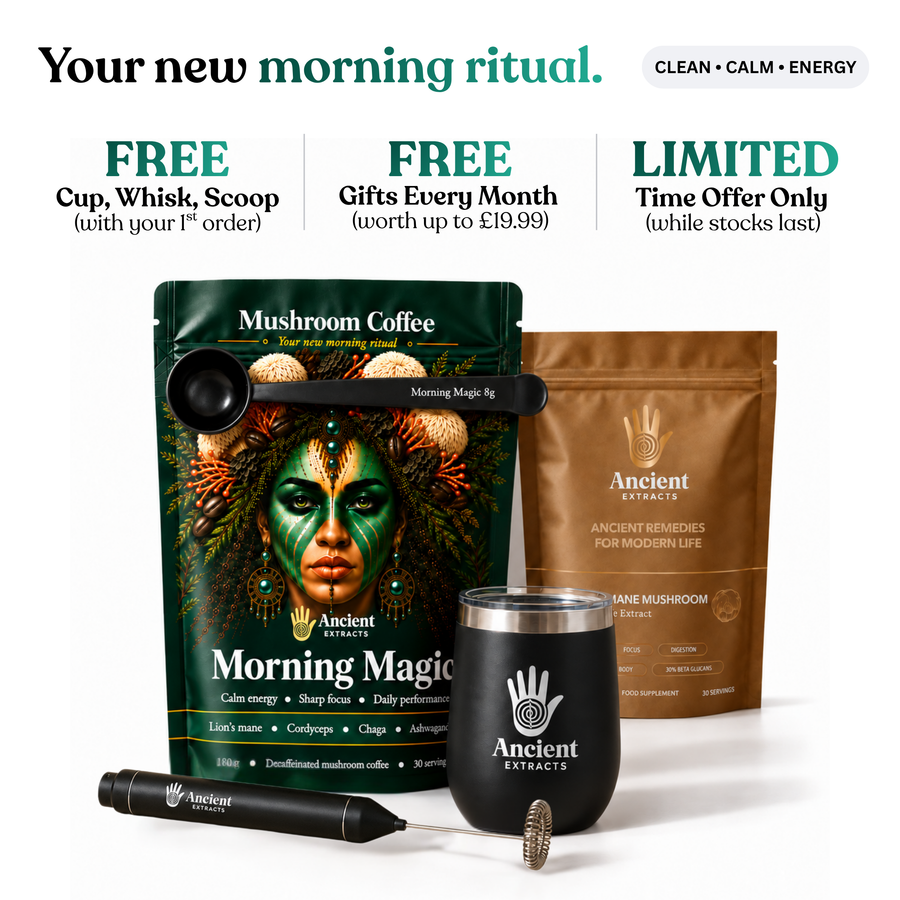 Morning Magic Mushroom Coffee Starter Kit
