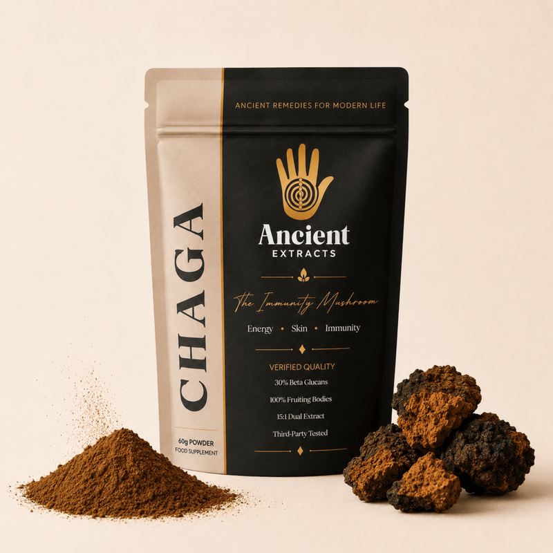 Chaga Mushroom Extract Powder