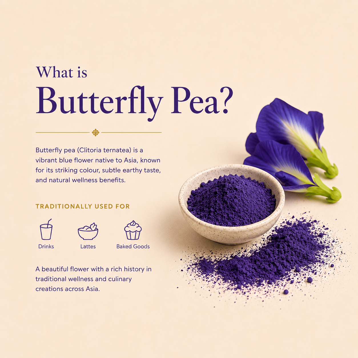 Blue Matcha Butterfly Pea Powder