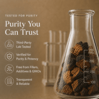 Chaga mushroom extract powder tested for purity information graphic