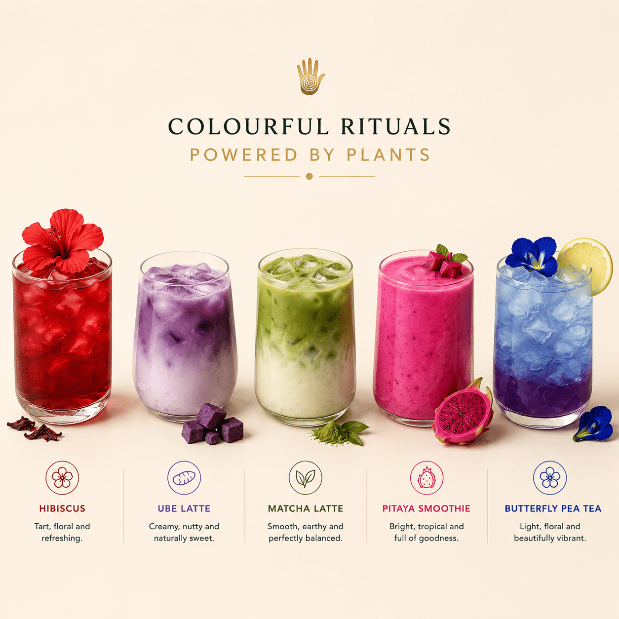 Wellness In Colour Collection Box - Ancient Extracts