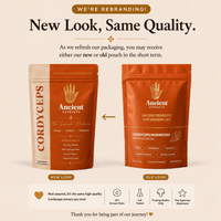 Cordyceps Mushroom Extract Powder by Ancient Extracts