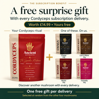 Cordyceps Mushroom Extract Powder