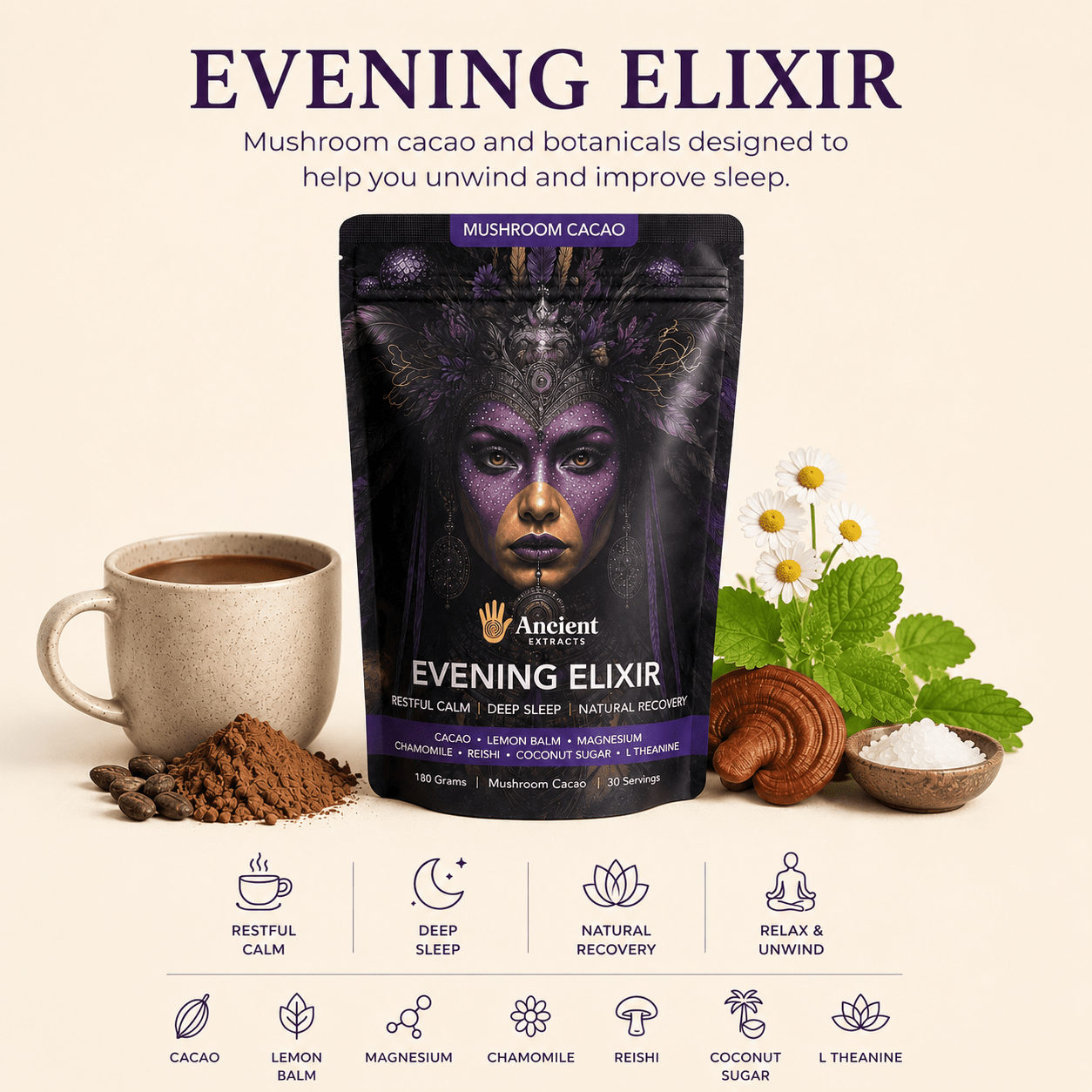 Evening Elixir Mushroom Cacao - Starter Kit (Copy) - Mushroom Extract - Ancient Extracts