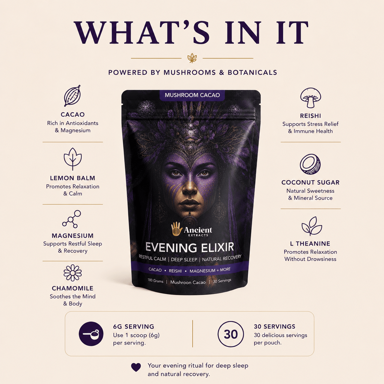 Evening Elixir Mushroom Cacao - Starter Kit (Copy) - Mushroom Extract - Ancient Extracts
