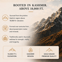 Ancient Extracts Pure Himalayan Shilajit Resin sourced from Kashmir above 18,000 feet