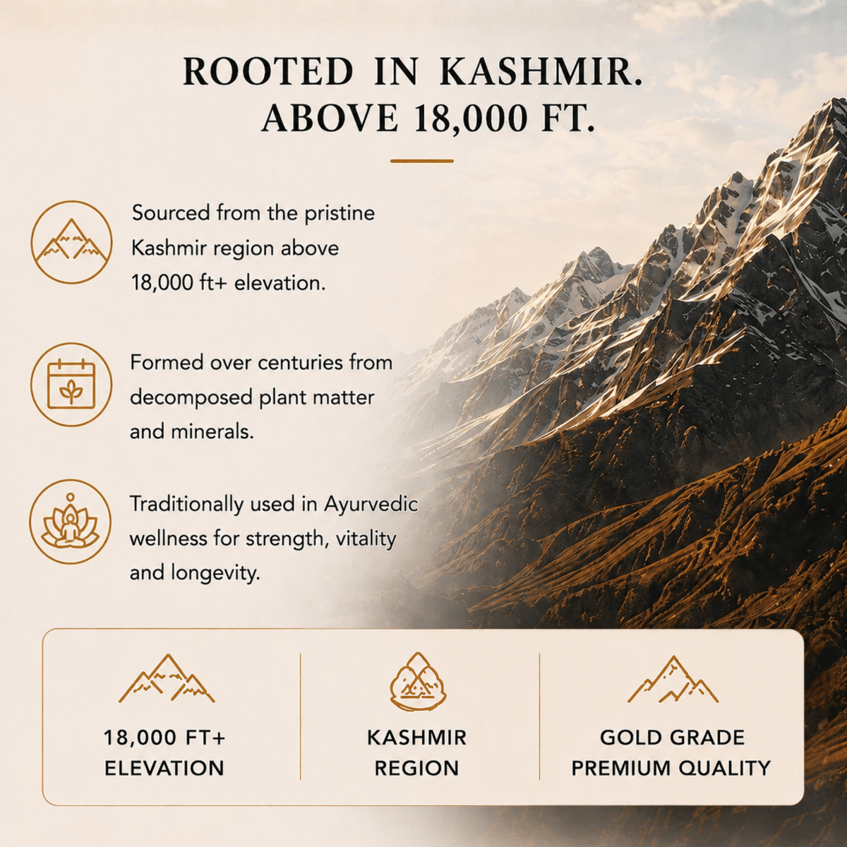 Ancient Extracts Pure Himalayan Shilajit Resin sourced from Kashmir above 18,000 feet