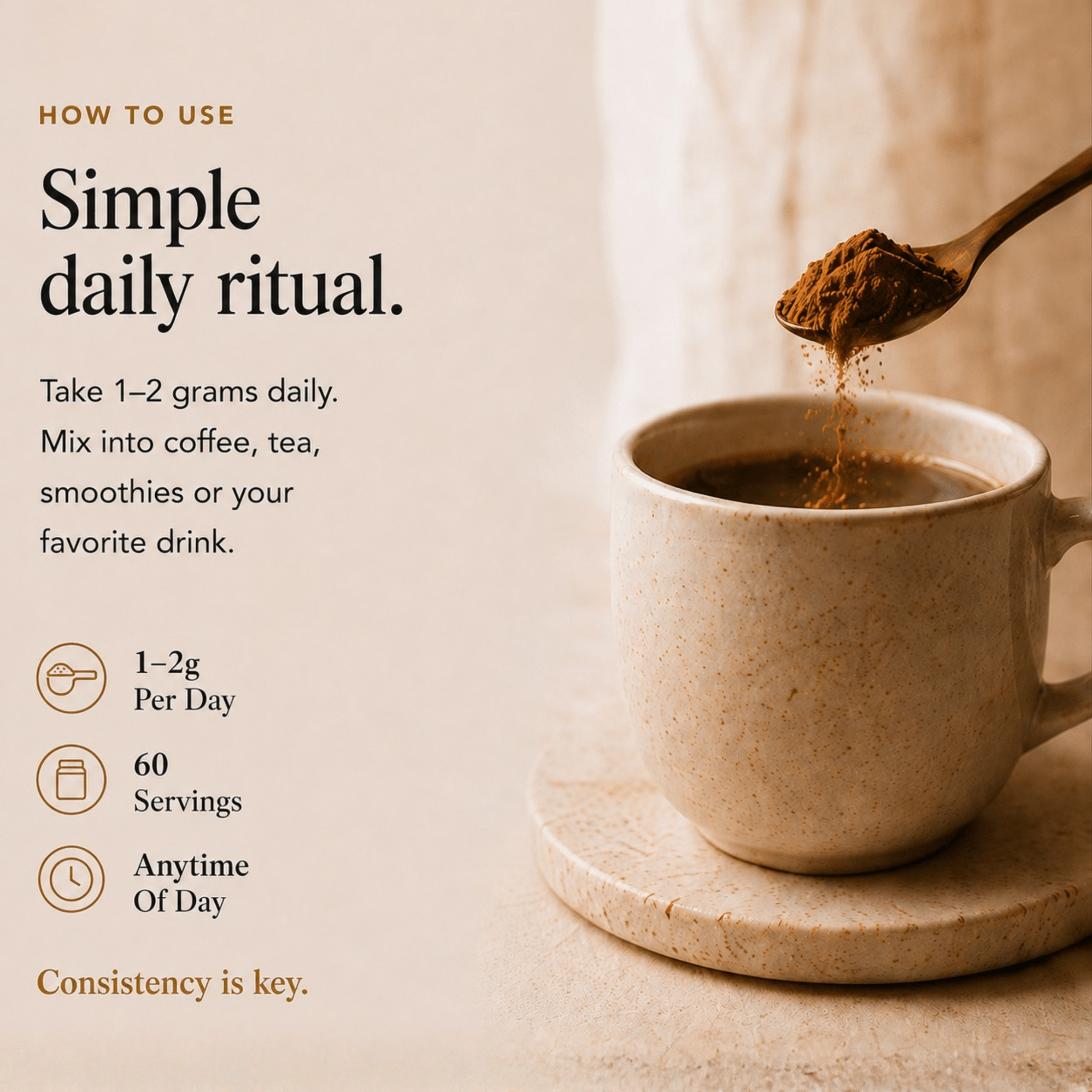 How to use Chaga mushroom extract powder information graphic