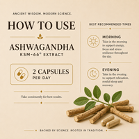 Ashwaghanda KSM66 Capsules
