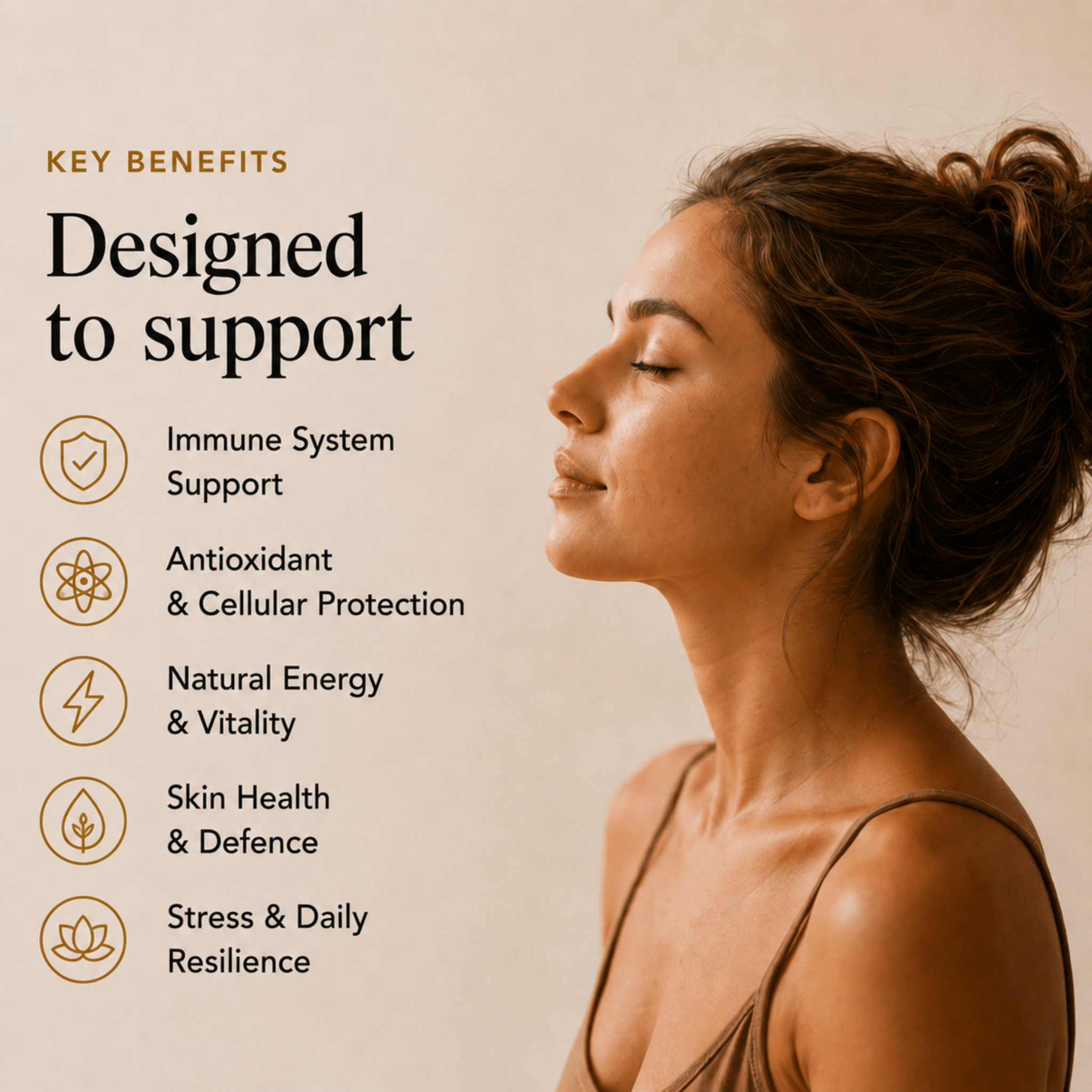 Key benefits of Chaga mushroom extract powder information graphic