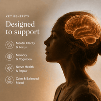 Lion's Mane Mushroom Extract Powder Benefits