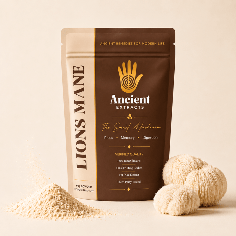 Lion's Mane Mushroom Extract Powder