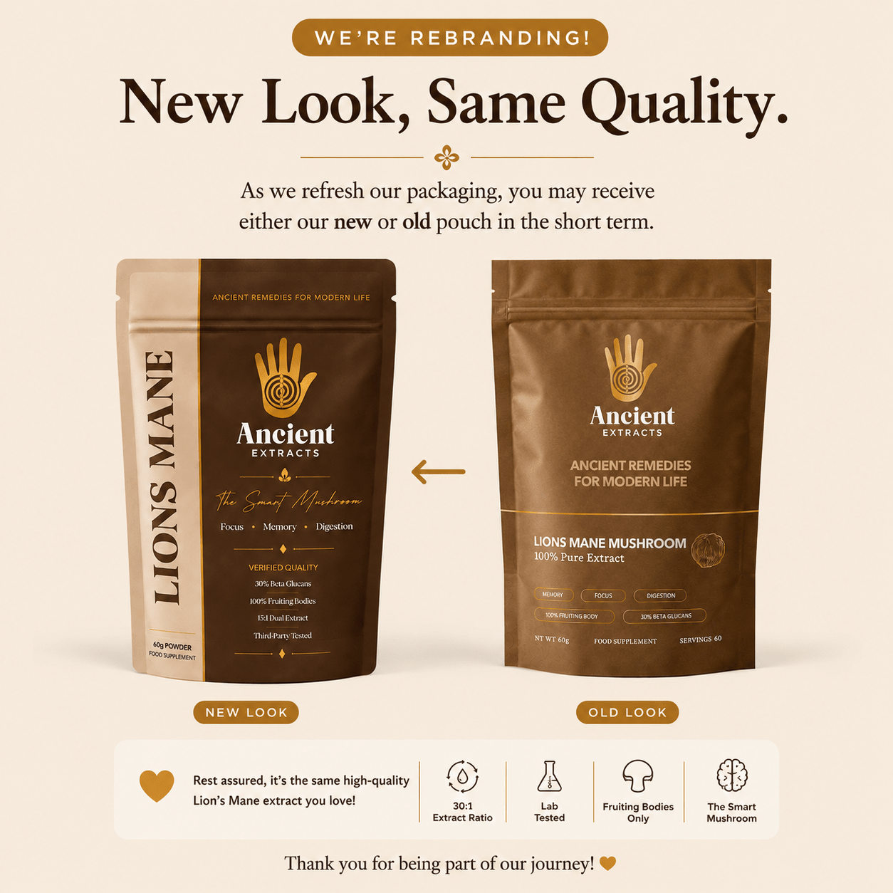 Lion's Mane Mushroom Extract Powder Packaging by Ancient Extracts