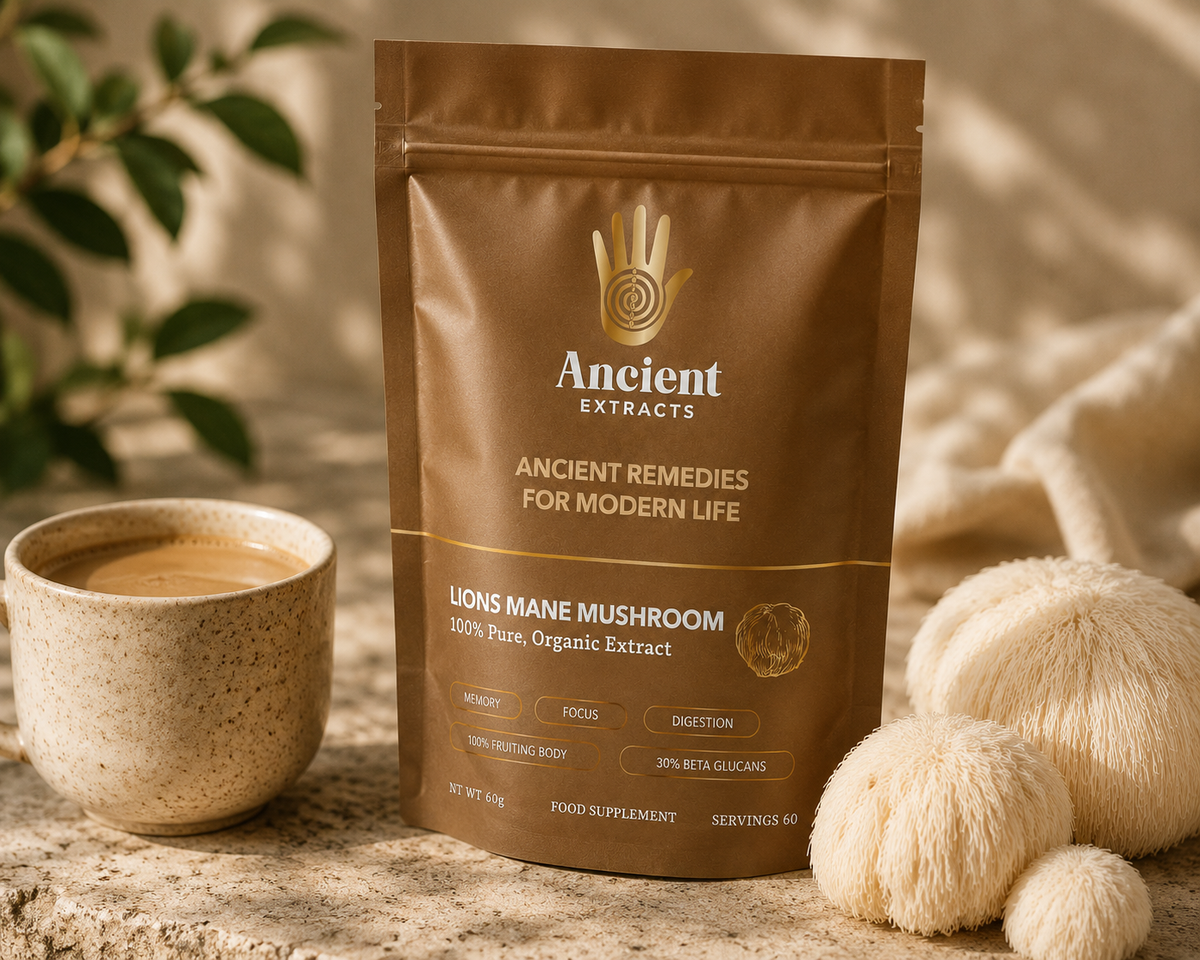Clear Focus & Digestive Support