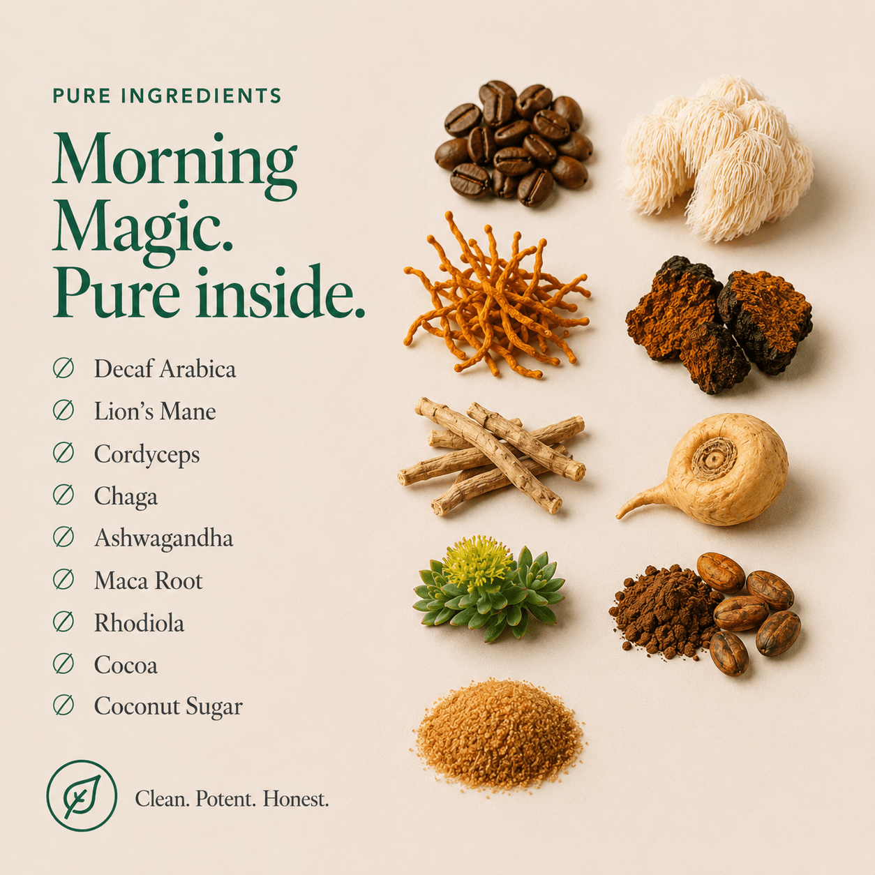 Morning Magic Decaf Mushroom Coffee (Starter Kit) - Mushroom Extract - Ancient Extracts