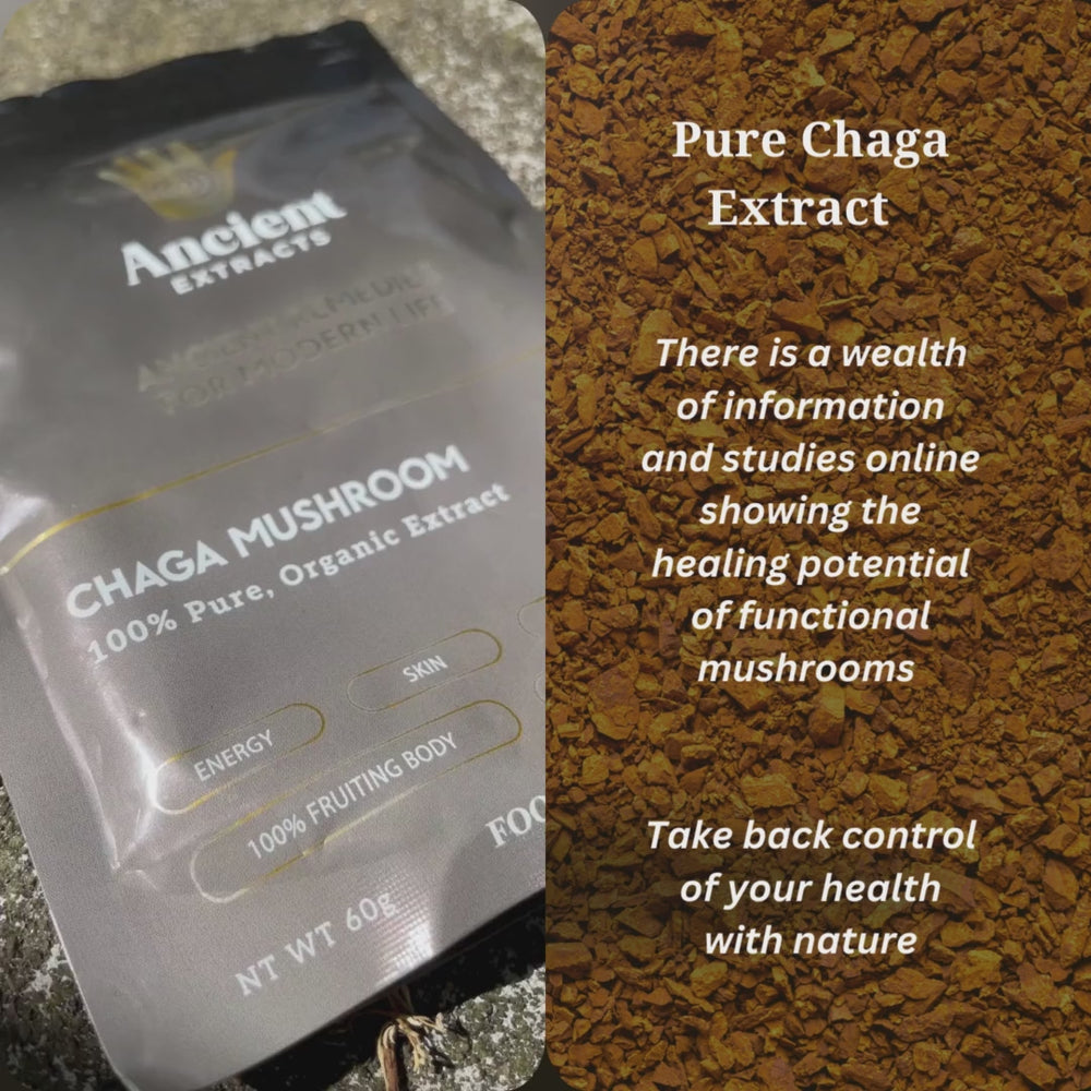 
                  
                    Load and play video in Gallery viewer, Organic Chaga Mushroom Extract Powder 30% Beta-glucan (60g)
                  
                