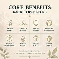 Shilajit Resin - Himalayan Gold Grade - Nutrition support - Ancient Extracts