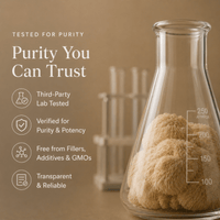 Third Party Lab Tested Lion's Mane Mushroom Extract Powder