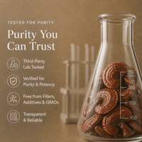 Third Party Lab Tested Reishi Mushroom Extract Powder
