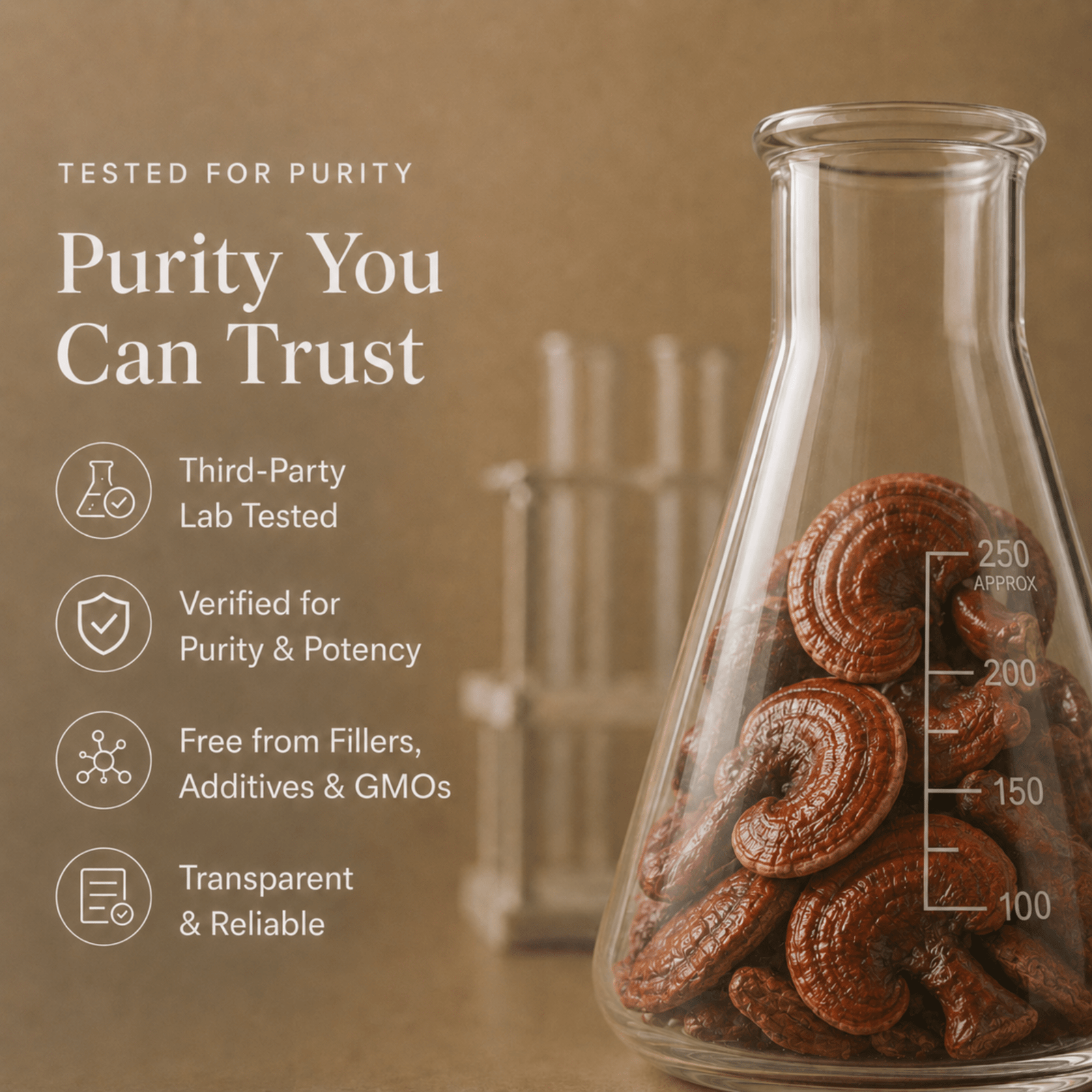 Third Party Lab Tested Reishi Mushroom Extract Powder