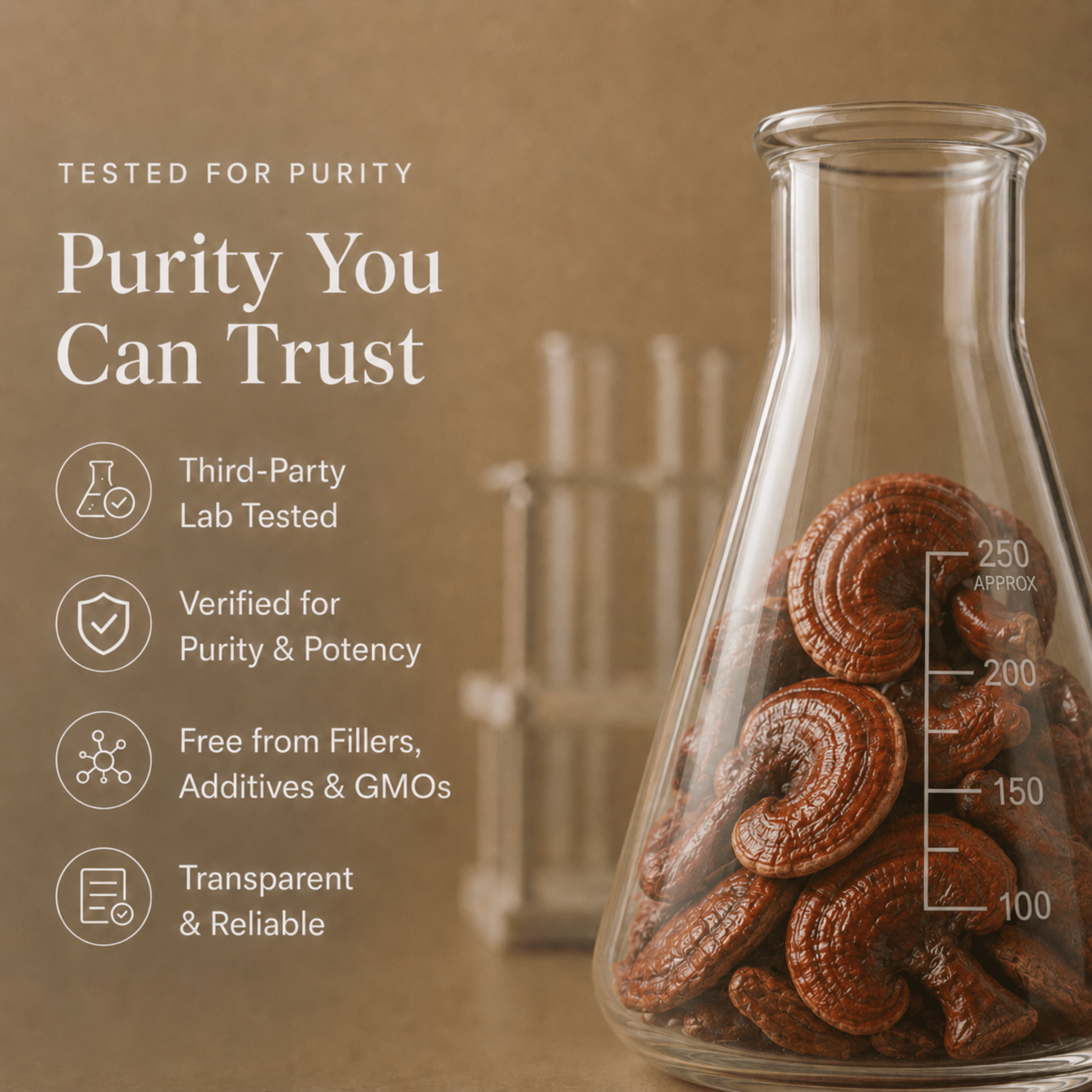 Third Party Lab Tested Reishi Mushroom Extract Powder