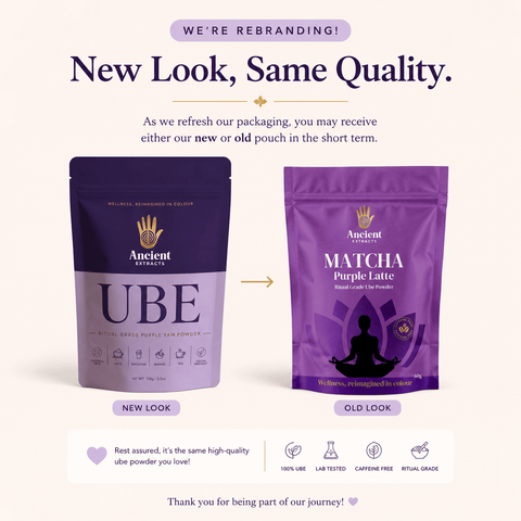 Ritual Grade Ube Matcha Powder - Ancient Extracts