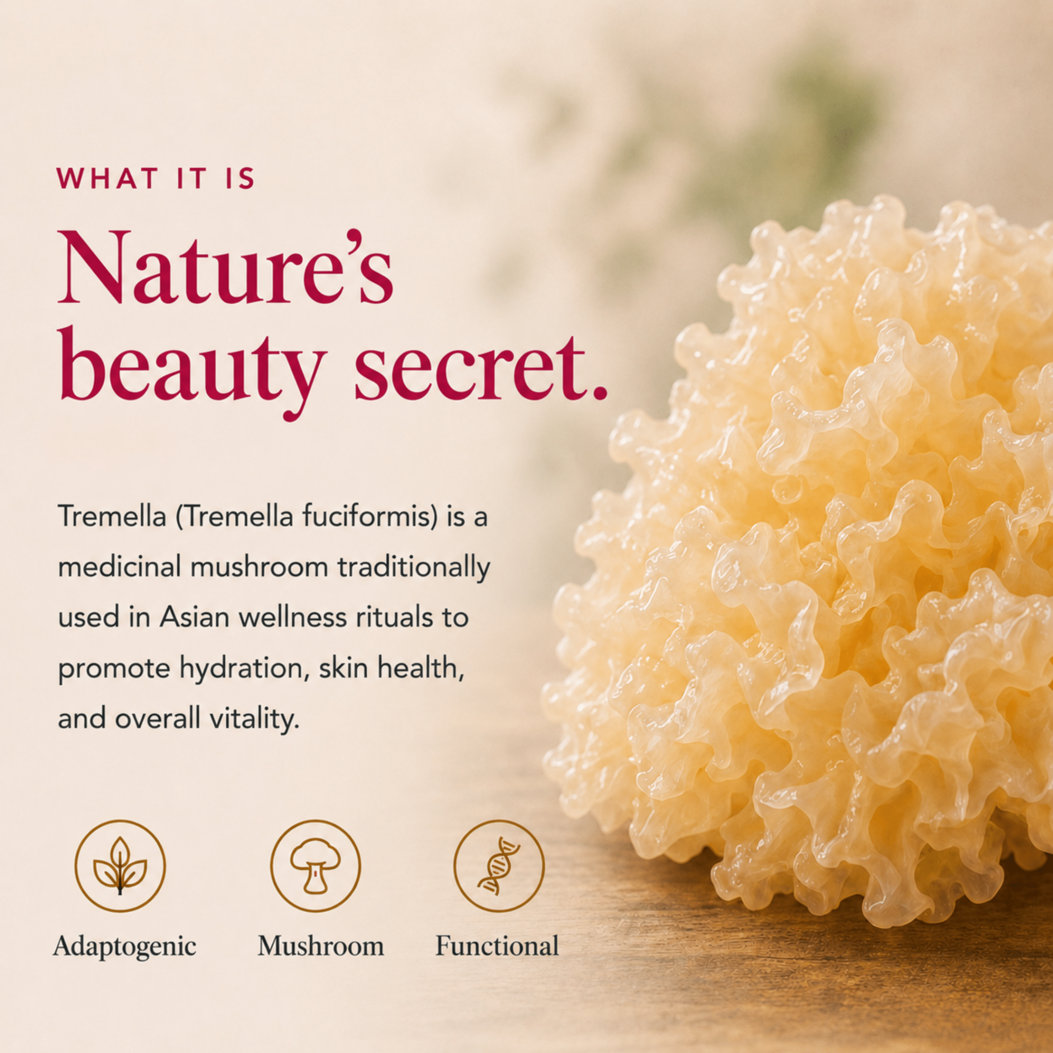 What Tremella mushroom is and how it supports skin hydration