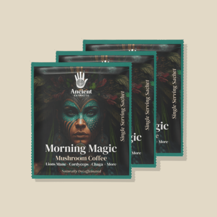 Morning Magic Single Serve Sachets (x3 Samples) - Mushroom Extract - Ancient Extracts
